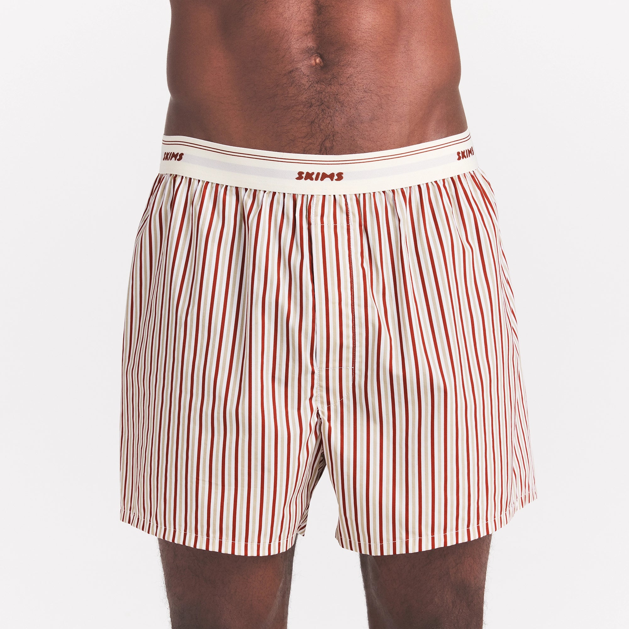 COTTON POPLIN MENS LOGO BAND BOXER | CINNAMON STONE STRIPE - Image 4