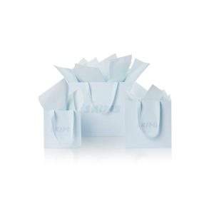 GIFT BAG | BABY BLUE