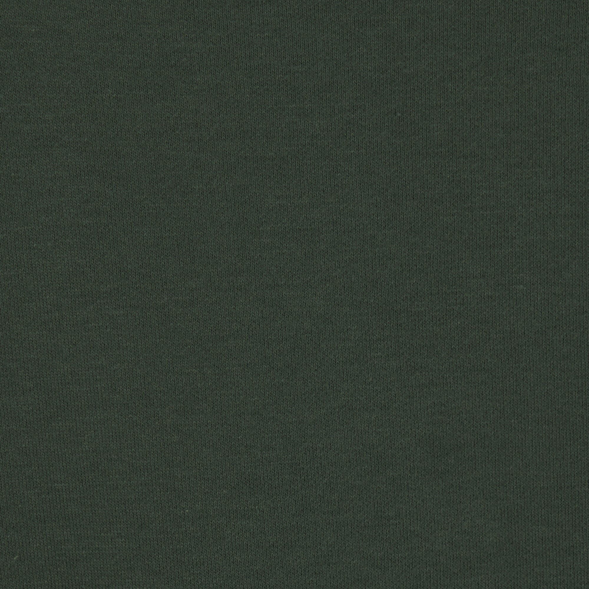 COTTON FLEECE CLASSIC JOGGER | SPRUCE - Image 5
