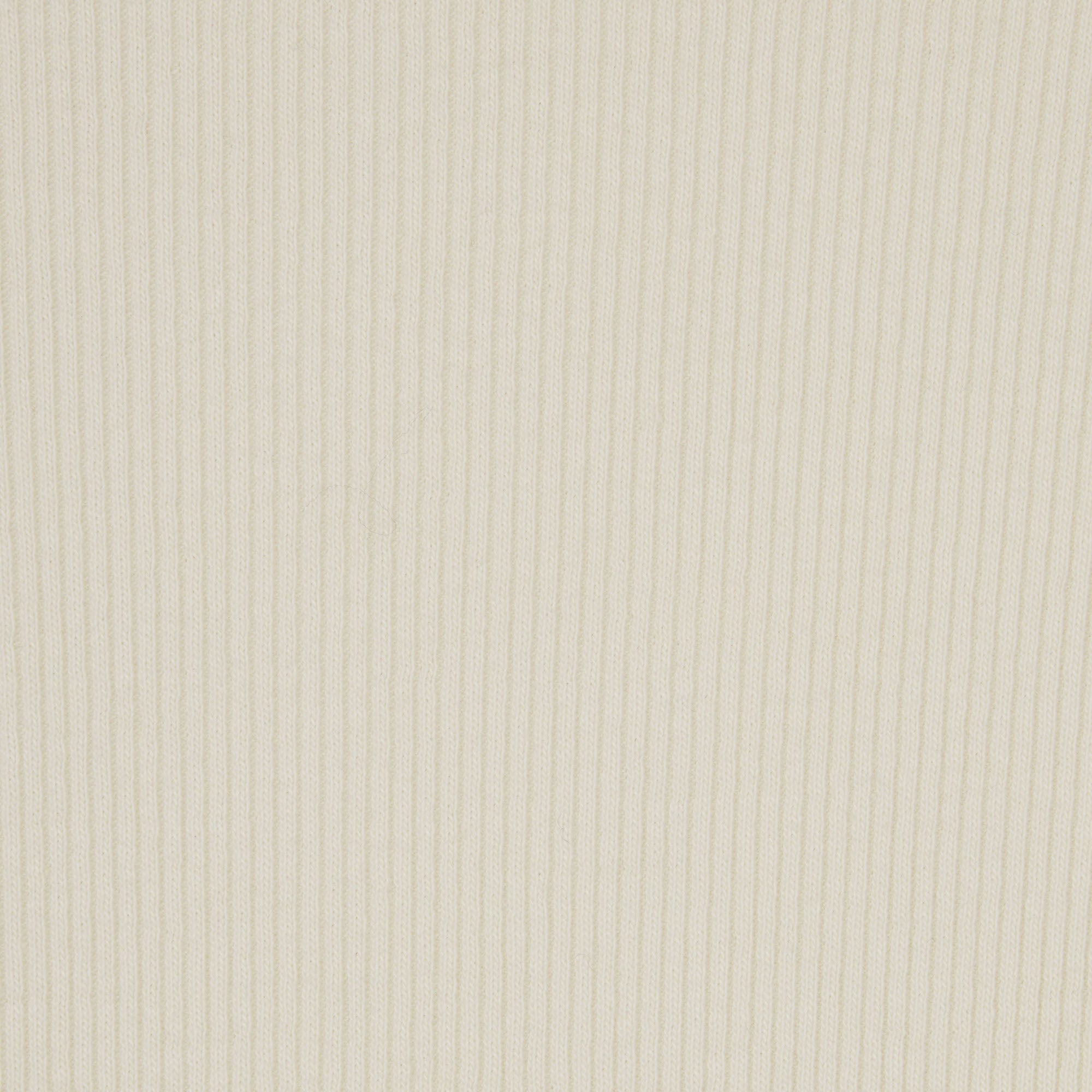 COTTON RIB BRIEF | BONE - Image 5