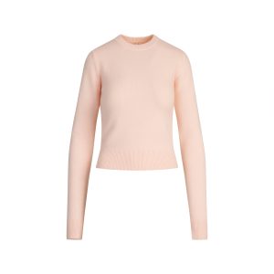 SWEATER KNITS RIBBED LONG SLEEVE FITTED CREW NECK | PRIMROSE