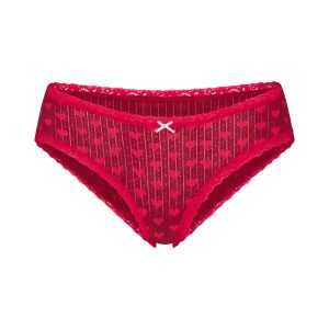 LIGHTWEIGHT COTTON POINTELLE LACE BRIEF | BRICK HEART HALFDROP